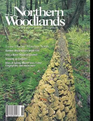 Cover of Spring 2008