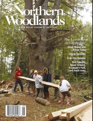 Cover of Spring 2012
