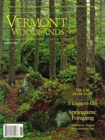 Photo by A. Blake Gardner Spring 1999 cover