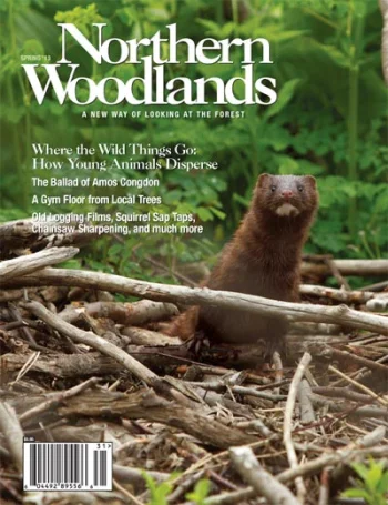 Cover photo by Chris Mazzarella Spring 2013 cover