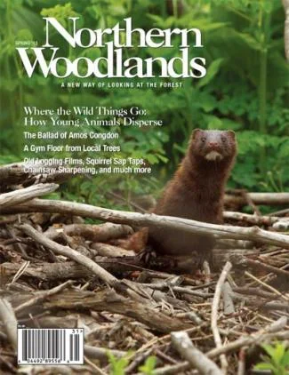 Cover of Spring 2013