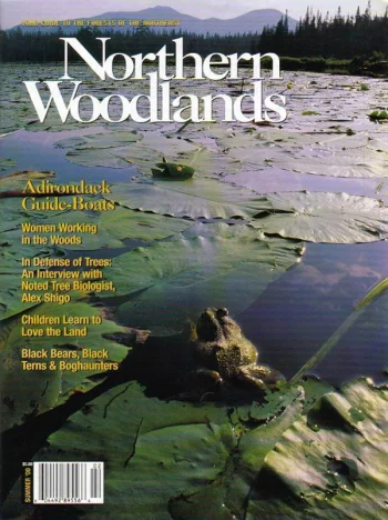 Photo by Carl Heilman II Summer 2000 cover