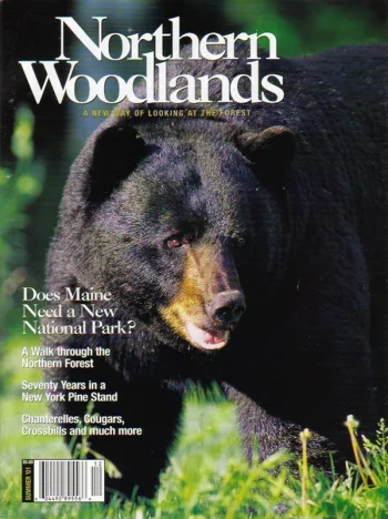 Photo by Charles H. Willey Summer 2001 cover