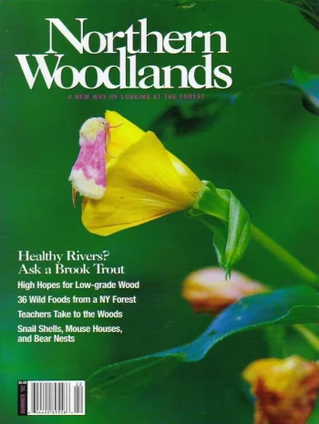Photo by Roger Irwin Summer 2002 cover