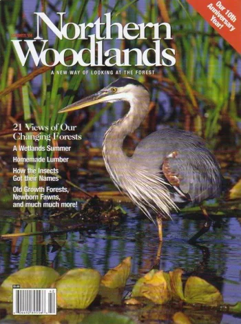 Photo by Eric Dresser Summer 2004 cover