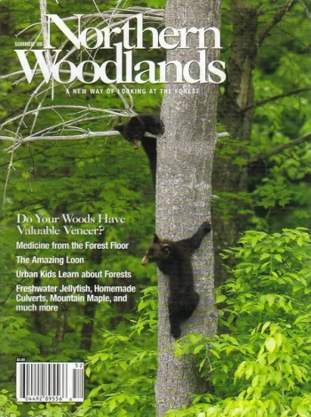 Photo by Chris Crowley Summer 2005 cover