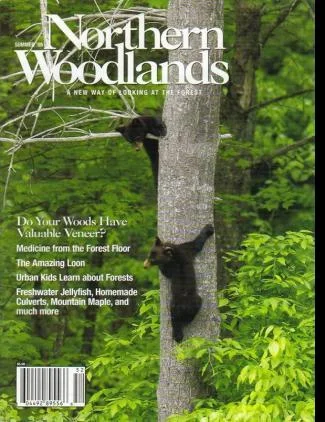 Cover of Summer 2005
