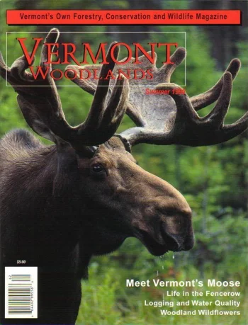 Photo by Kenneth R. Dudzik Summer 1996 cover