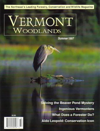 Photo by Charles H. Willey Summer 1997 cover
