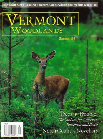 Photo by Charles H. Willey Summer 1998 cover