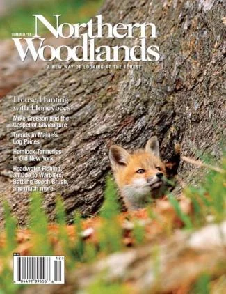 Cover of Summer 2011