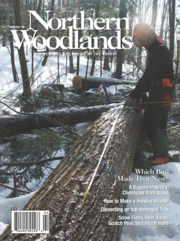 Photo by Krista Muller Winter 2009 cover