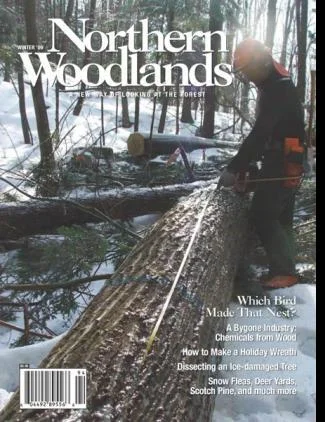 Cover of Winter 2009