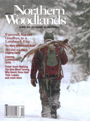 Photo by Roger Irwin.Purchase this issue.  Winter 2010 cover