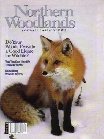 Photo by Charles H. Willey Winter 2000 cover