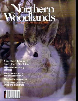 Cover of Winter 2002