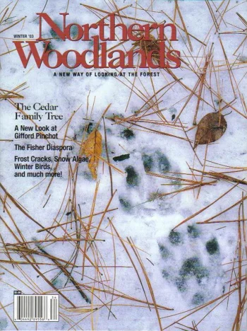 Photo by A. Blake Gardner Winter 2003 cover