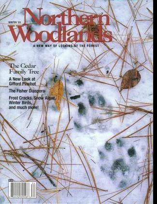 Cover of Winter 2003