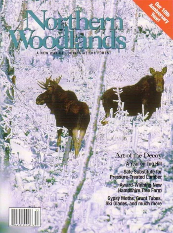 Photo by Charles H. Willey Winter 2004 cover