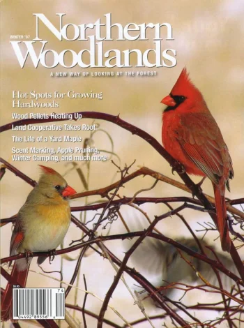 Photo by Tom Kivlan Voss Winter 2007 cover