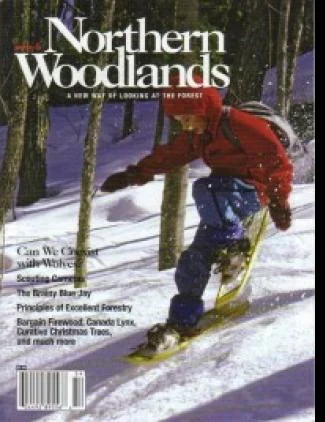 Cover of Winter 2005