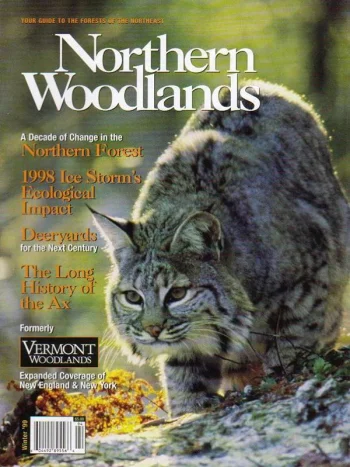 Photo by Susan C. Morse Winter 1999 cover