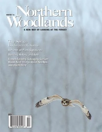 Cover of Winter 2014