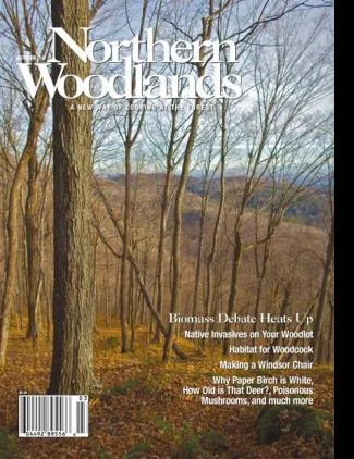 Cover of Autumn 2010