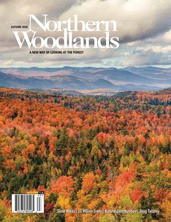 Cover Photo by Tony Colasurdo Autumn 2026 cover by Northern Woodlands