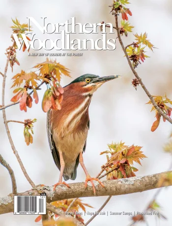 Photo by Jim Block Spring 2022 cover by Northern Woodlands