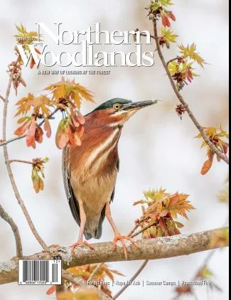 Cover of Spring 2022