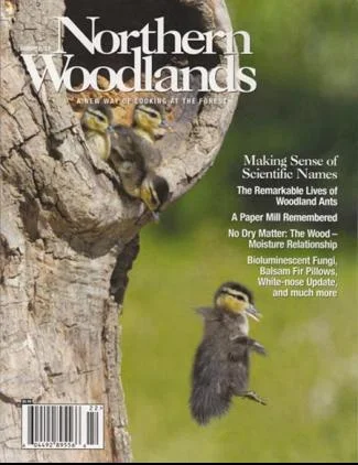 Cover of Summer 2012