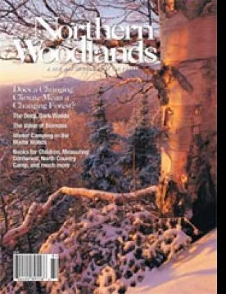 Cover of Winter 2008
