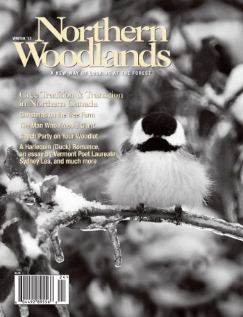 Photo by Richard Cofrancesco. Winter 2012 cover