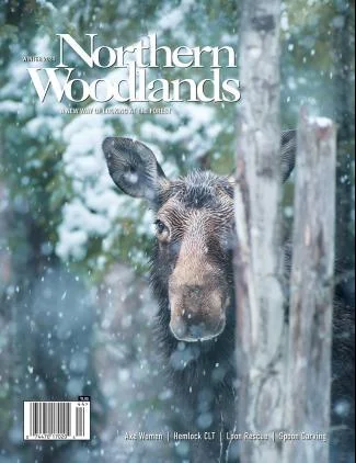 Cover of Winter 2024