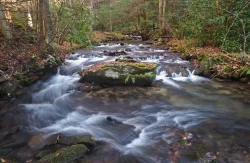 Craig stream Photo: Charlie Schwarz