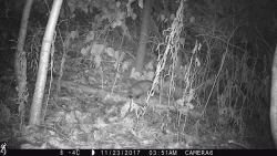 10_possum_2024.jpg Photo: Photo Credits: Jade Jarvis and Alyssa Valentyn