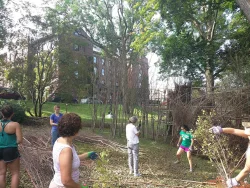 Volunteers Photo: Greater Worcester Land Trust
