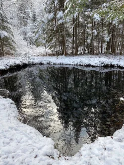 Snow Farm Spring Photo: AM Dannis