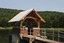 11_Timber_Frame.jpg Photo: Alexandra Murphy
