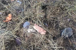 11_Vole_stash_web.jpg