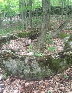 14_meghan_circular_structure.jpg