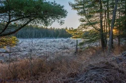 14_sunrise_frost.jpg