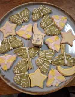 Moth cookies Photo: Emily S. Rowe