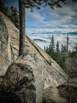 Blueberry ledges Photo: Danielle Durocher