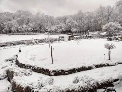 Snow covered trees Photo: Bill Arnold