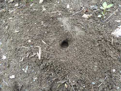 Turtle Hole Photo: Gordon Gould
