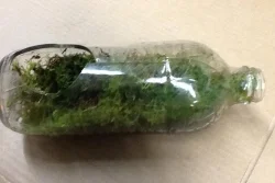 16_bottle_found_web.jpg