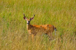 16_dsc_0039.jpg