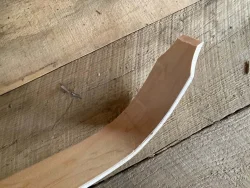 Birchbark canoe